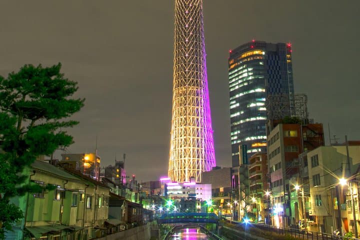 Tokyo Private Tour with Native Japanese Driver — photo 10