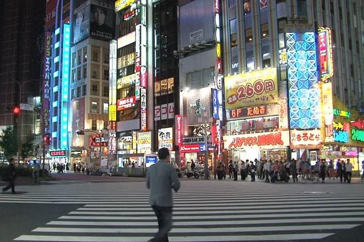 Tokyo Private Tour with Native Japanese Driver — photo 11