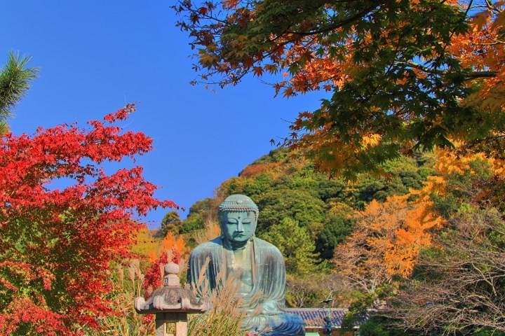 Private full day tour in Kamakura from Tokyo