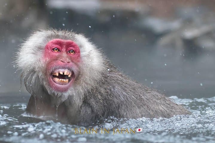 Hokkaido Photo Tour & Workshop-9 Day Tour-February 1-9 — photo 3