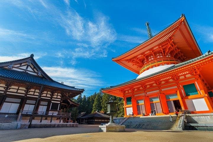 Mt. Koya Sacred Full-Day Private Tour (Osaka departure) with Licensed Guide — photo 9