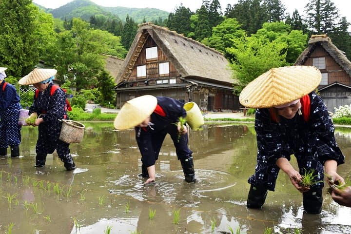 Shirakawago All Must-Sees Private Chauffeur Tour with a Driver (Takayama DEP.) — photo 10
