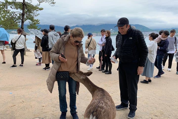 Miyajima Half-day Private Tour with Government Licensed Guide — photo 9