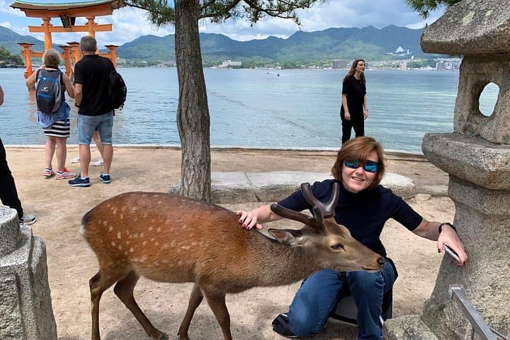 Miyajima Half-day Private Tour with Government Licensed Guide — photo 12