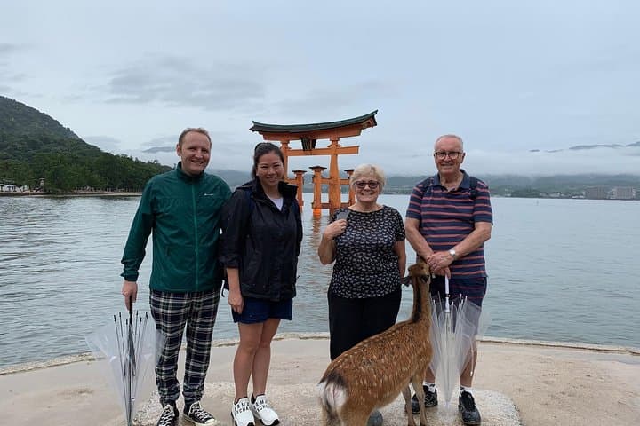 Miyajima Half-day Private Tour with Government Licensed Guide — photo 17