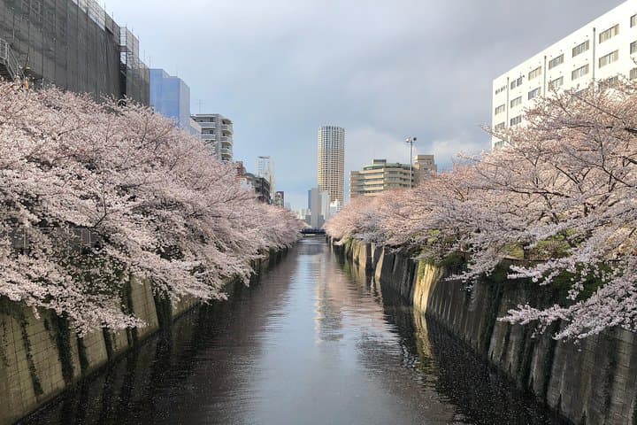 A Dreamy and Delicious Day in Tokyo — photo 1