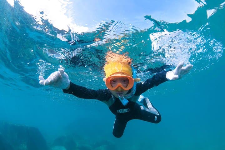 Let's swim with sea turtles in Yakushima!Snorkeling Tour — photo 3