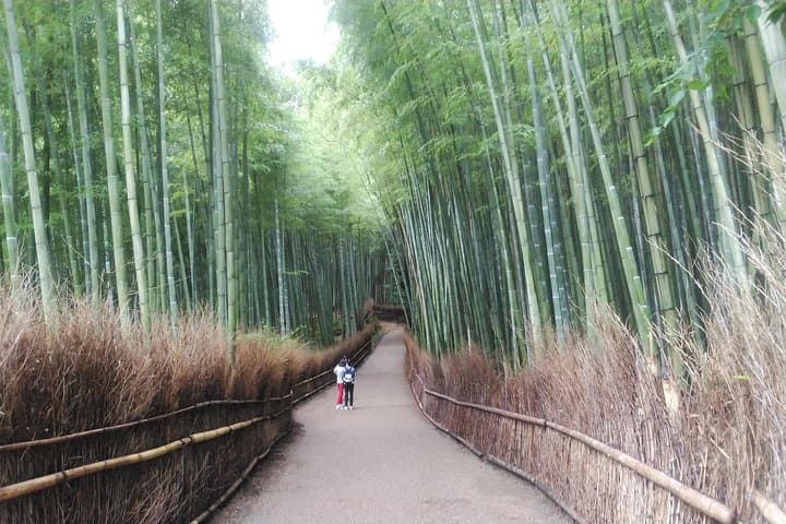 Kyoto Early Riser Platinum One-Day Walking Tour — photo 3