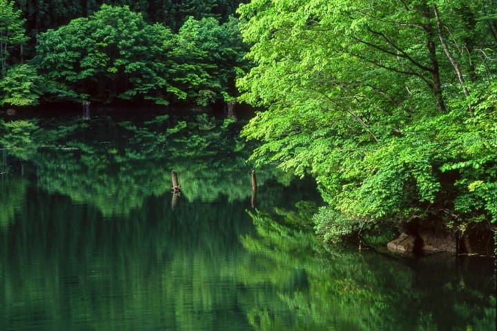 Kamikochi Day Trip from Takayama (Small Group) — photo 4