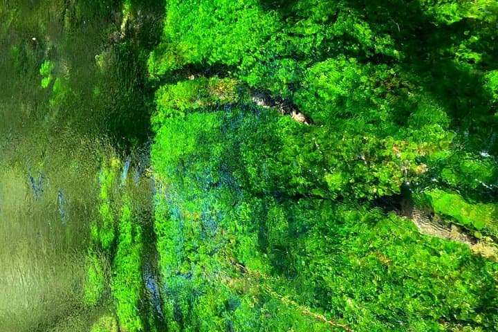 Kamikochi Day Trip from Takayama (Small Group) — photo 7