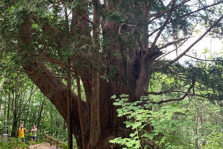 Shirakawa-go, Onsen & Waterfall Hike Day Tour from Takayama — photo 4