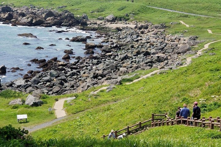 Sanriku Reconstruction National Park Trekking and Fisherman's Lunch Tour