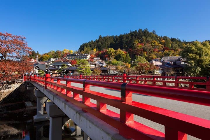 Takayama: Edo-Period Old Town Walking Tour（45 Minutes） — photo 5
