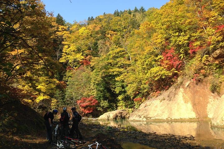 Mountain Bike Tour from Sapporo Including Hoheikyo Onsen and Lunch — photo 14