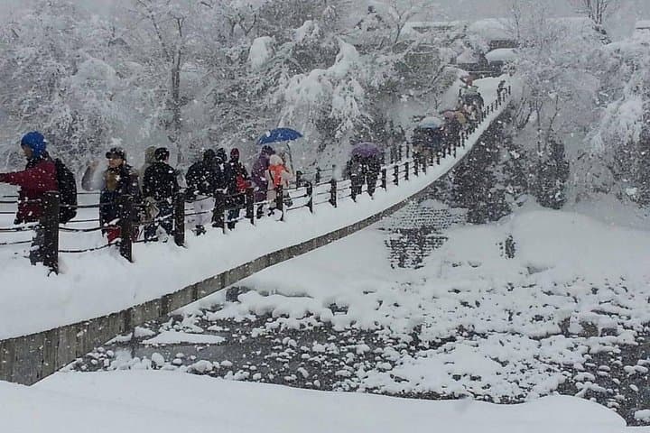 [One-day bus tour departing from Kanazawa Station] Shirakawa-go and Gokayama - Two World Heritage Villages Enjoyable Bus Tour — photo 18
