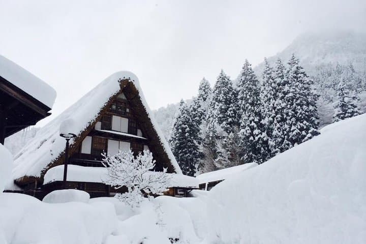 [One-day bus tour departing from Kanazawa Station] Shirakawa-go and Gokayama - Two World Heritage Villages Enjoyable Bus Tour — photo 20