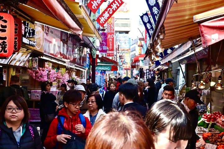 Private Tokyo Food Tour with 10+ Tastings of Japanese Classics — photo 7