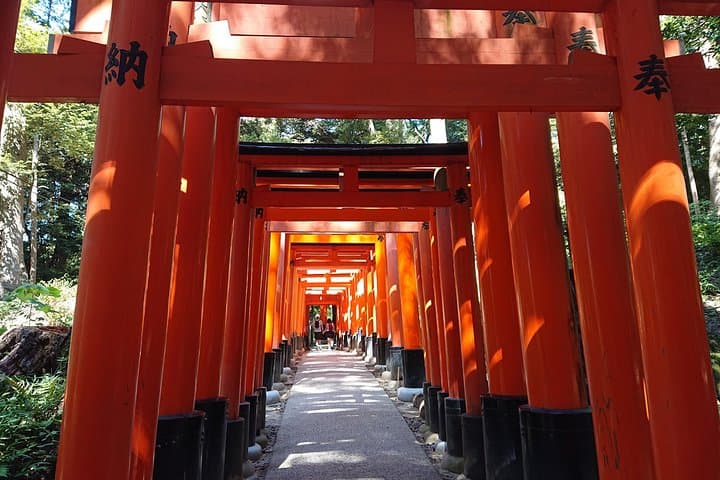 Kyoto Lazy Bird Walking Tour — photo 3