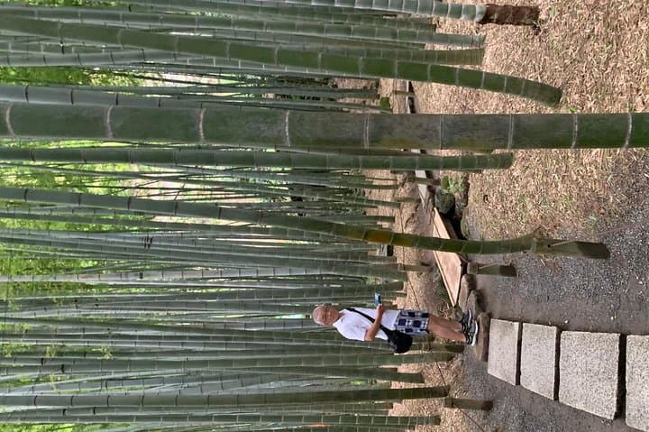 Private Tour Kamakura and Enoshima With Guide and photographer — photo 2