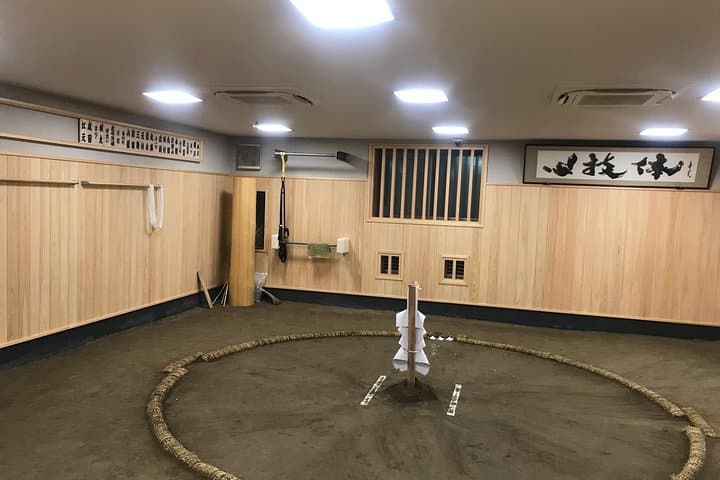 Morning Sumo Practice Viewing in Tokyo — photo 13