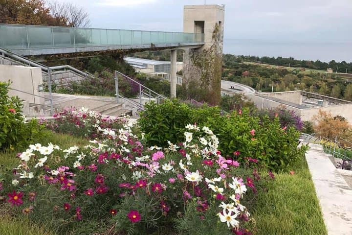 AWAJI ISLAND Custom Tour with Private Car & Driver (Max 9 Pax) — photo 17