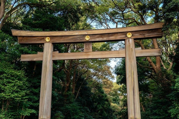 Private City Kickstart Tour: Tokyo — photo 3