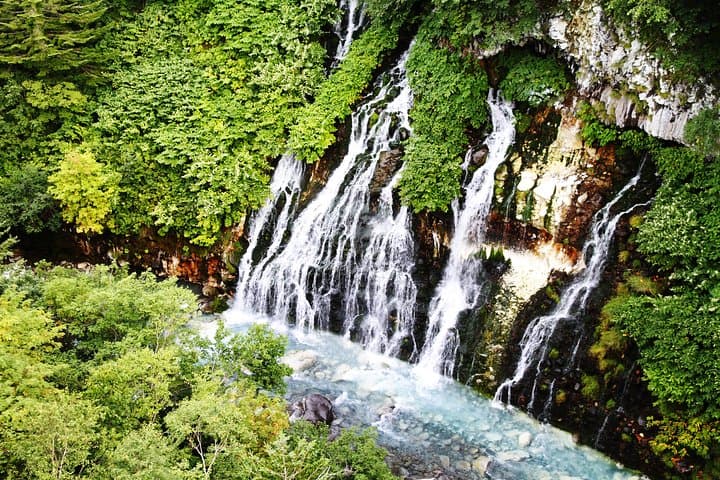 【Private Car】Asahiyama Zoo, Blue Pond, Shirahige Falls, Ningle Terrace (from Sapporo) — photo 3