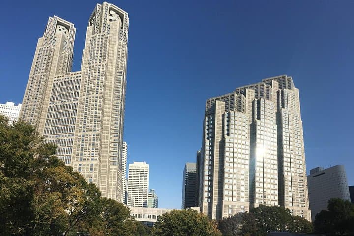 Tokyo Highlights Private Custom Tour with Licensed Guide & Driver — photo 20