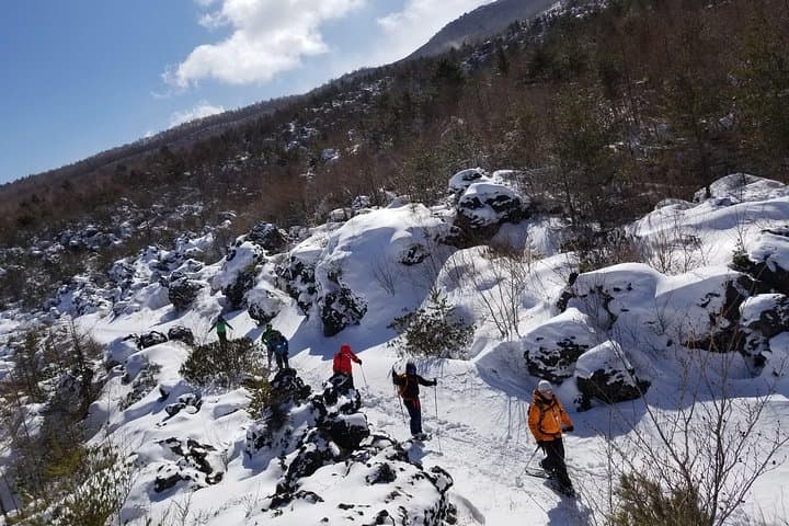 -Snow mountain hiking at the foot of Asama- Karuizawa Snowshoe Tour — photo 2