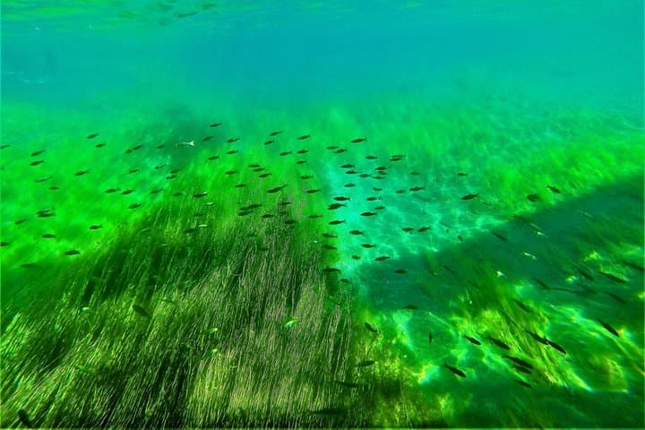 Japan's No. 1 Water Quality National Lake Shikotsu, Hokkaido's first landing clear kayak tour difficulty level (medium) — photo 4
