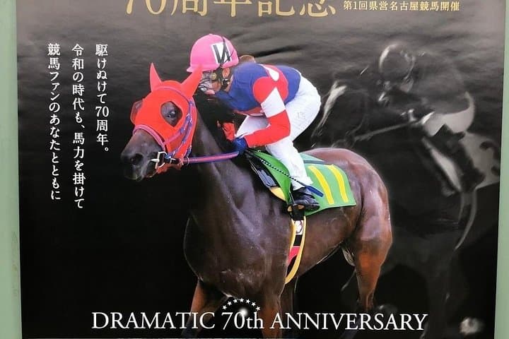 A tour to enjoy Japanese official gambling (horse racing, bicycle racing, pachinko) — photo 2