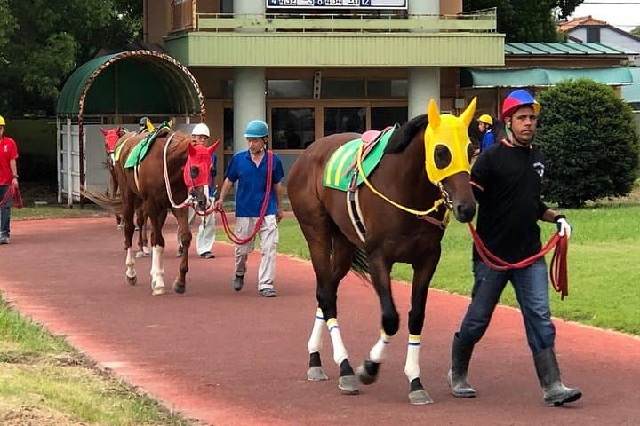 A tour to enjoy Japanese official gambling (horse racing, bicycle racing, pachinko) — photo 3