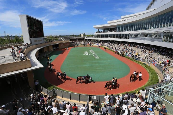 A tour to enjoy Japanese official gambling (horse racing, bicycle racing, pachinko) — photo 4