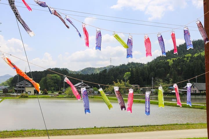 Japan's Rural Life & Nature: Private Half Day Cycling Near Kyoto — photo 8