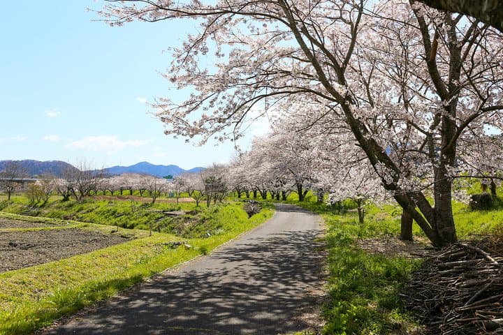 Japan's Rural Life & Nature: Private Half Day Cycling Near Kyoto — photo 4