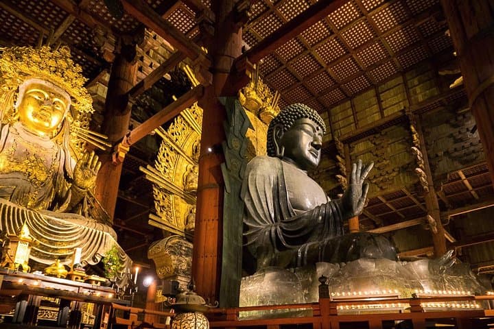 Nara 8hr Private Tour - Kyoto DEP. with Licensed Guide — photo 2