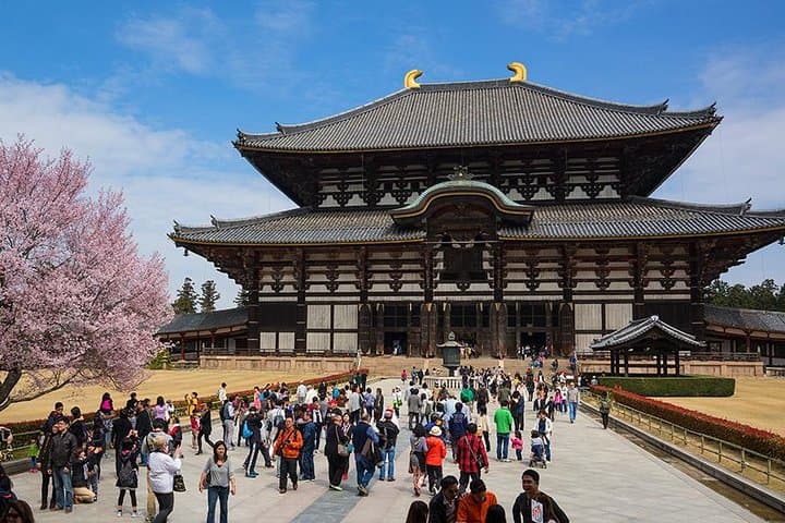 Nara 6hr Private Tour with Government-Licensed Guide — photo 7