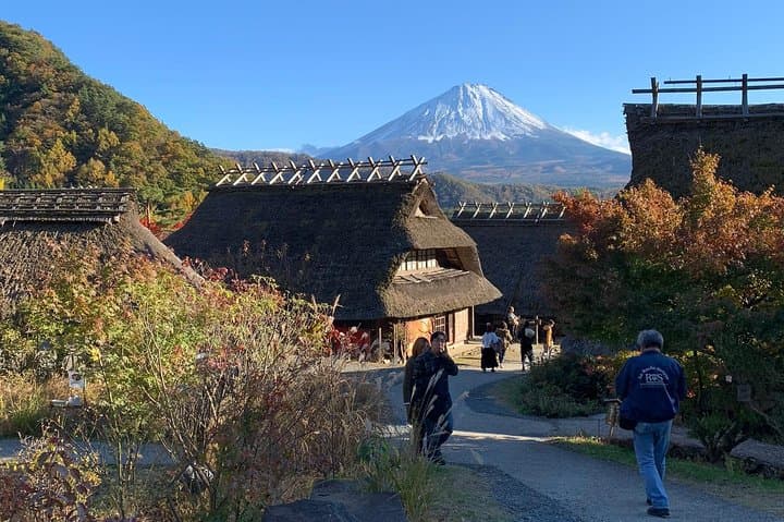Private Tour to Mt. Fuji and Hakone (Fully Licensed Operator) — photo 7