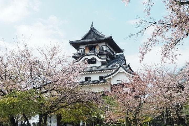 Nagoya Half-day Private Custom Tour with National Licensed Guide — photo 6