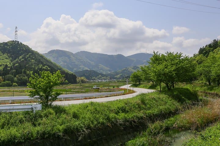 Japan's Rural Life & Nature: Private Half Day Cycling Near Kyoto — photo 6