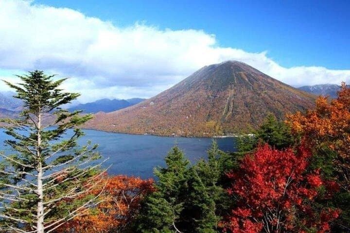 Nikko Private Tour from Tokyo with Licensed Guide and Vehicle — photo 18