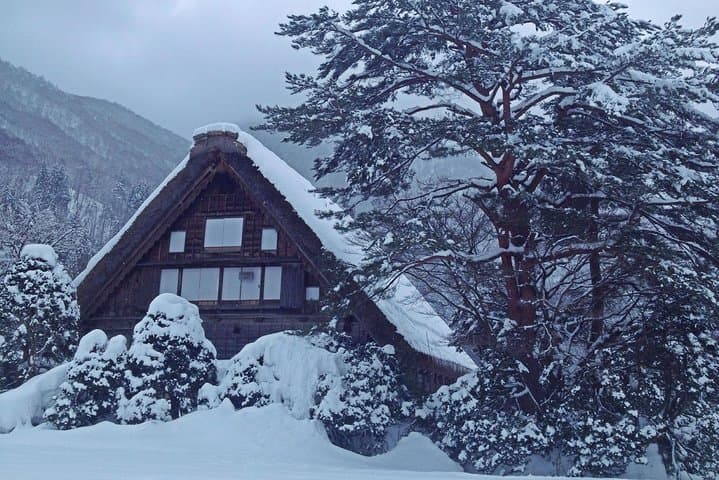 [One-day bus tour departing from Kanazawa Station] Shirakawa-go/Takayama tour platinum route bus tour — photo 11