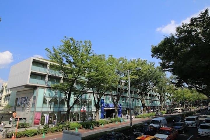 Discover your Tokyo -Private Tokyo Customized Walking Tour- — photo 4