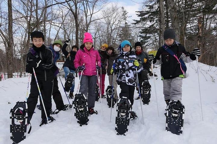 The Art of Ice - Nafuku Shichijo Otaki Snow Trekking Tour - Slightly difficult (Medium) — photo 2