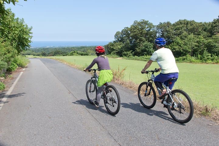 Downhill Biking — photo 2