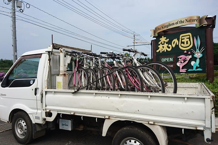 Downhill Biking — photo 5