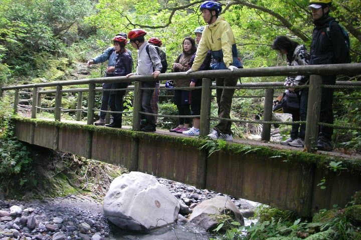 Downhill Biking — photo 7