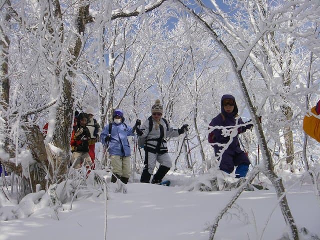 Snowshoe Tour — photo 2