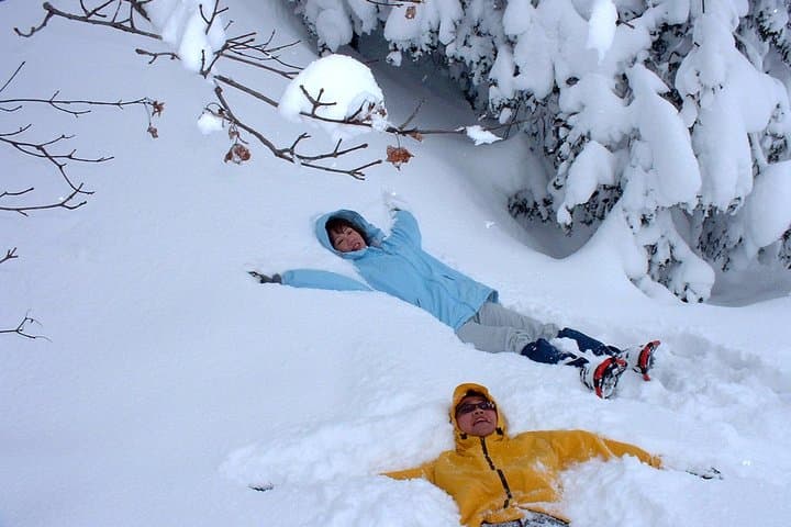 Snowshoe Tour — photo 5