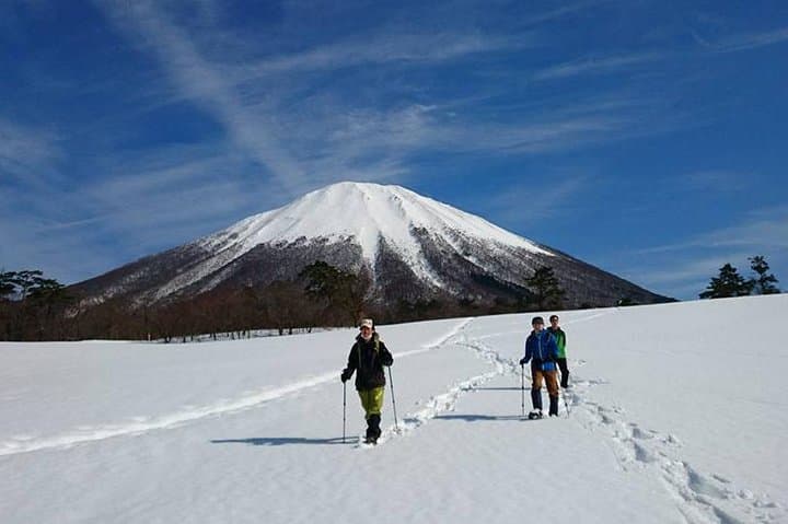 Snowshoe Tour — photo 8